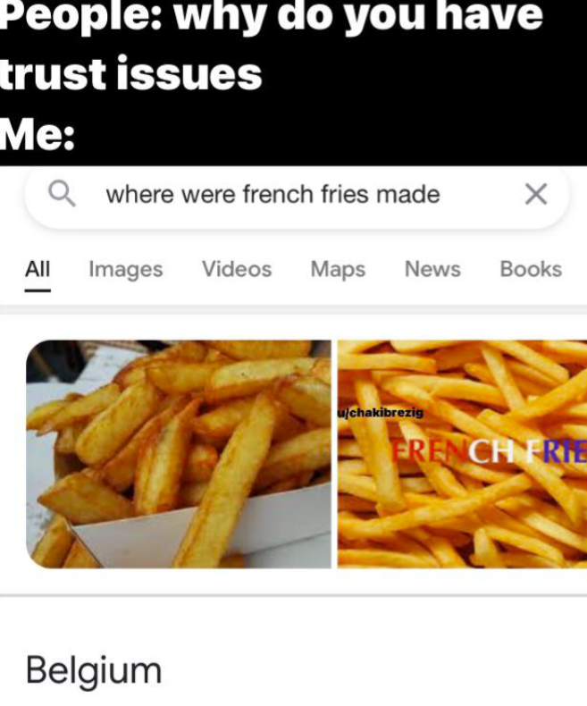 People: why do you have trust issues Me: Qwhere were french fries made All Images Videos Maps News Books Belgium u/chakibrezig FRENCH FRIE