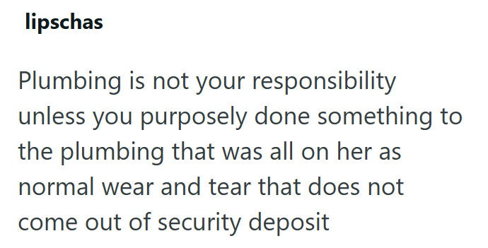 lipschas Plumbing is not your responsibility unless you purposely done something to the plumbing that was all on her as normal wear and tear that does not come out of security deposit