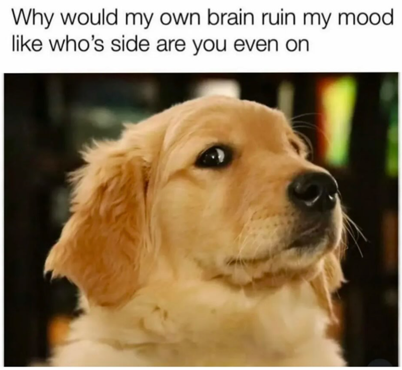 Why would my own brain ruin my mood. like who's side are you even on