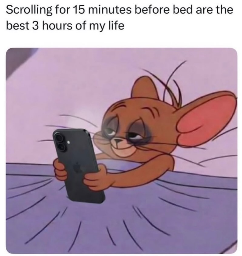 Scrolling for 15 minutes before bed are the best 3 hours of my life