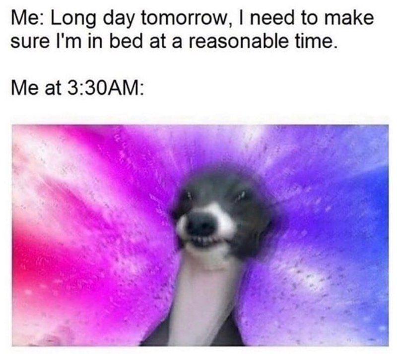 Me: Long day tomorrow, I need to make sure I'm in bed at a reasonable time. Me at 3:30AM: