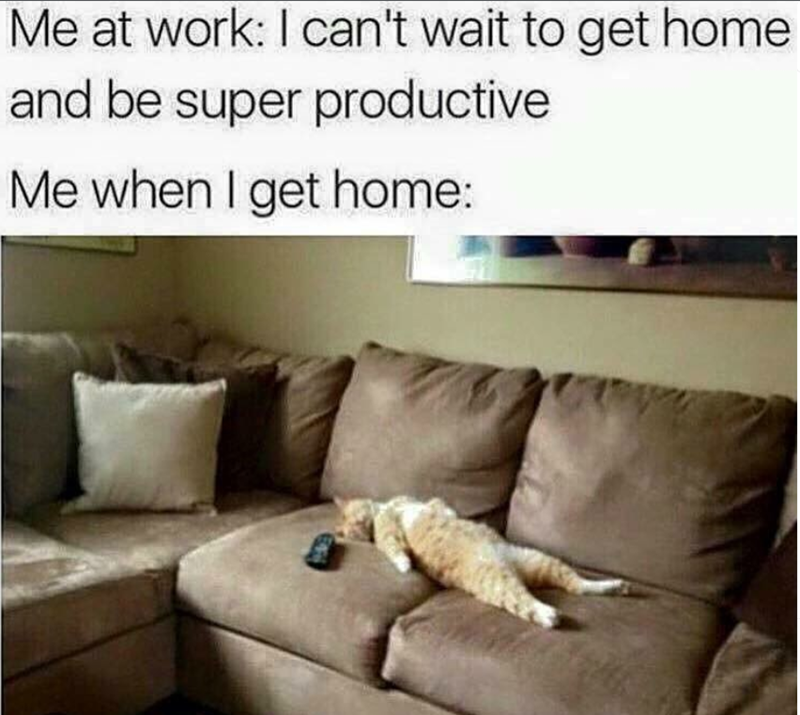 Me at work: I can't wait to get home and be super productive Me when I get home: