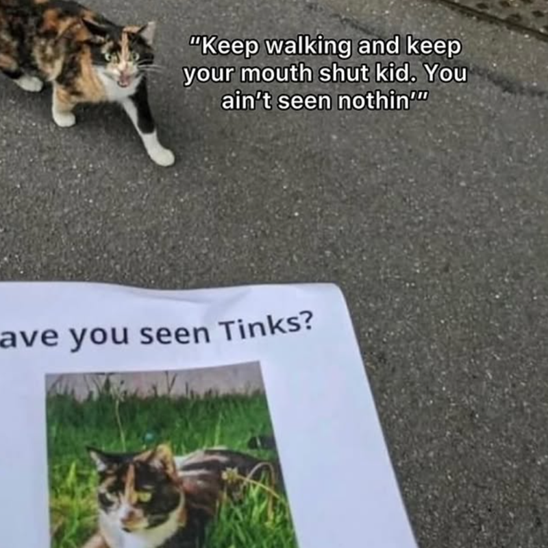"Keep walking and keep your mouth shut kid. You ain't seen nothin'" ave you seen Tinks?