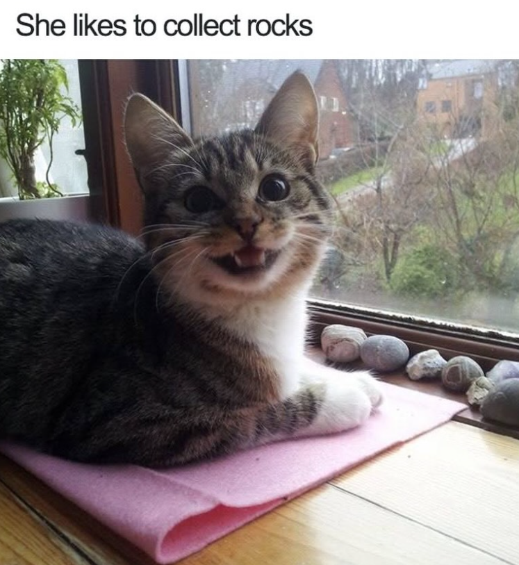 She likes to collect rocks