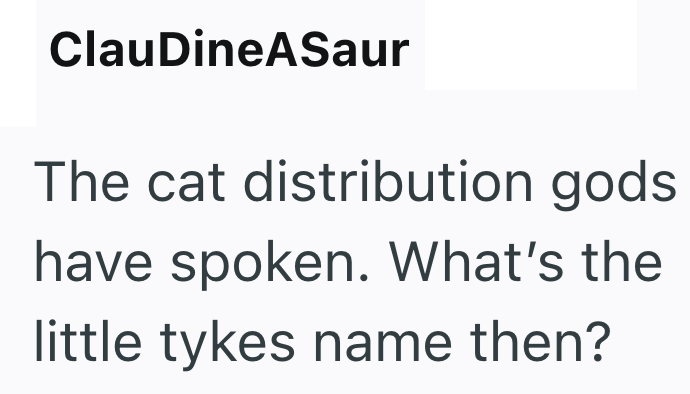 ClauDineASaur The cat distribution gods. have spoken. What's the little tykes name then?