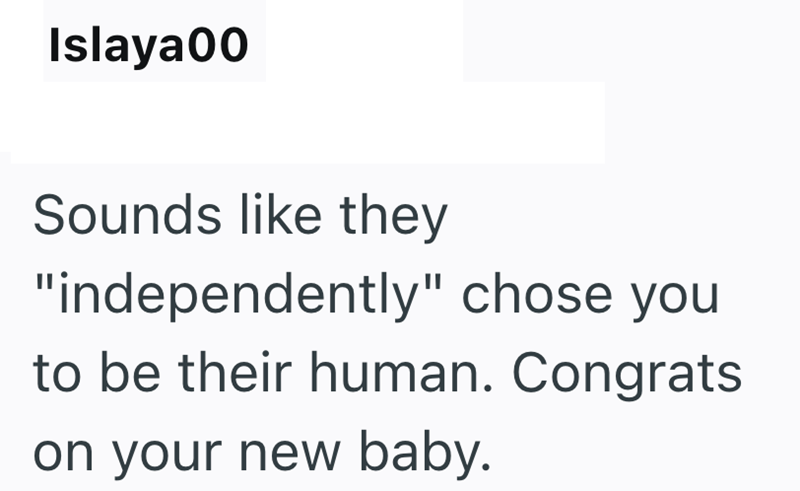 Islaya00 Sounds like they "independently" chose your to be their human. Congrats on your new baby.