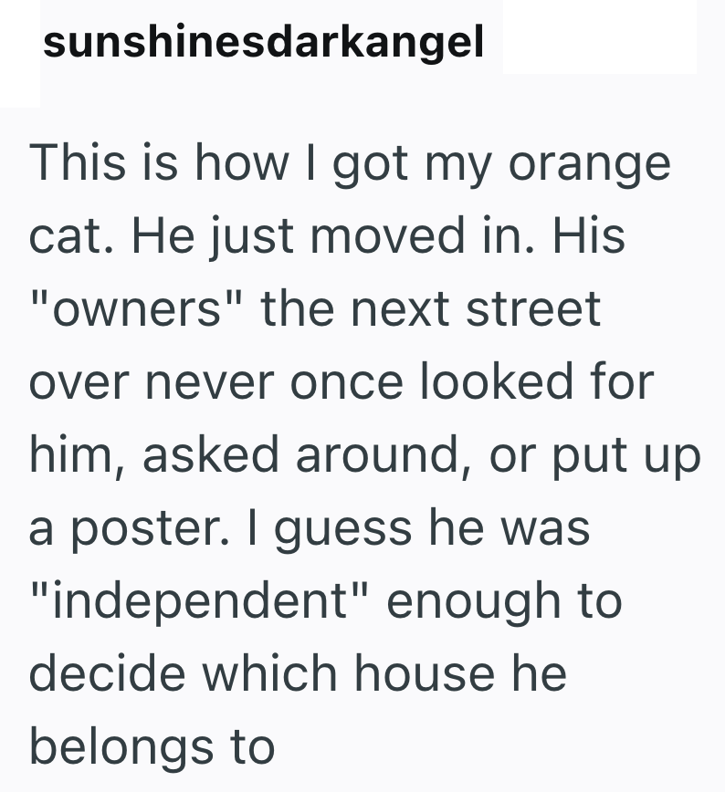 sunshinesdarkangel This is how I got my orange cat. He just moved in. His "owners" the next street over never once looked for him, asked around, or put up a poster. I guess he was "independent" enough to decide which house he belongs to