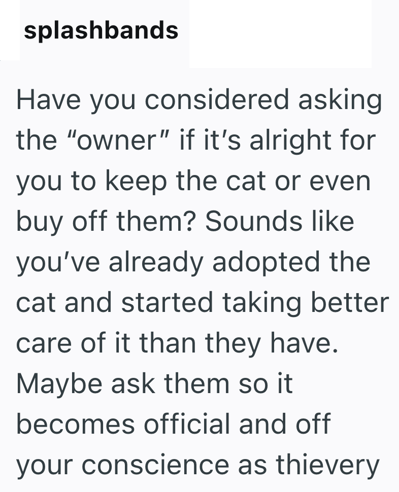 splashbands Have you considered asking the "owner" if it's alright for you to keep the cat or even buy off them? Sounds like you've already adopted the cat and started taking better care of it than they have. Maybe ask them so it becomes official and off your conscience as thievery