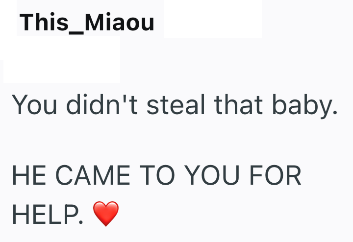 This_Miaou You didn't steal that baby. HE CAME TO YOU FOR HELP.