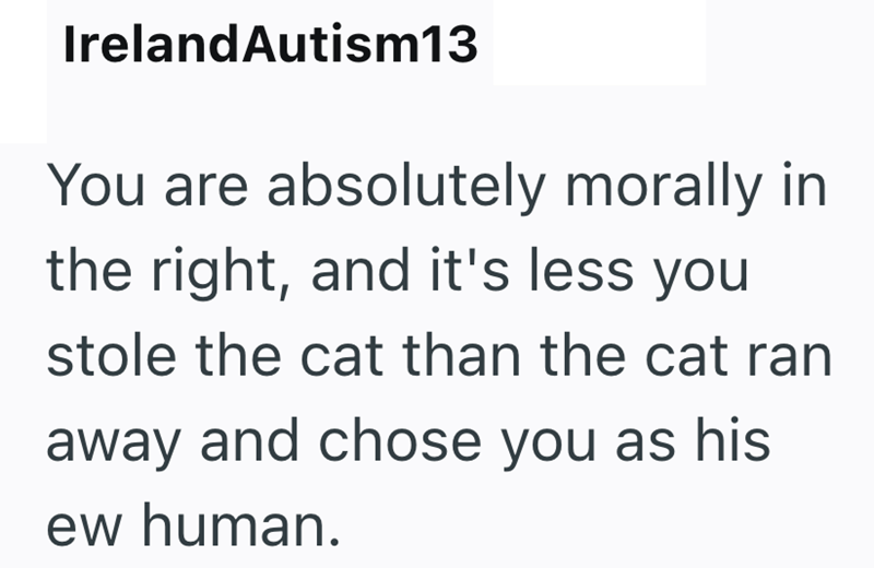 IrelandAutism13 You are absolutely morally in the right, and it's less you stole the cat than the cat ran away and chose you as his ew human.