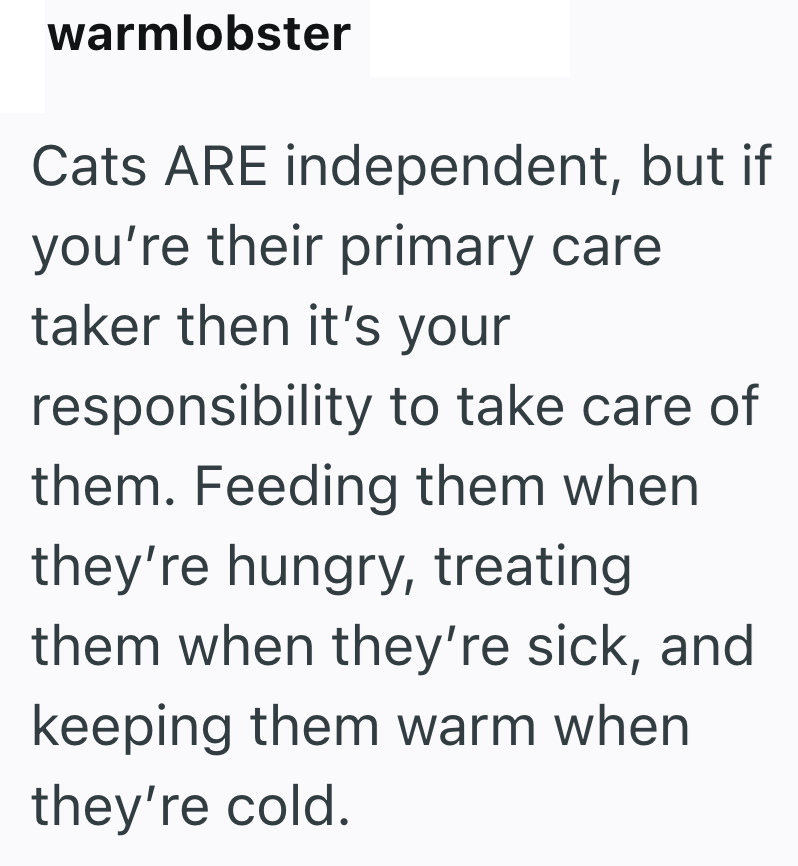 warmlobster Cats ARE independent, but if you're their primary care taker then it's your responsibility to take care of them. Feeding them when they're hungry, treating them when they're sick, and keeping them warm when they're cold.