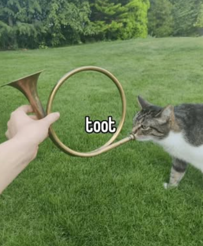 toot