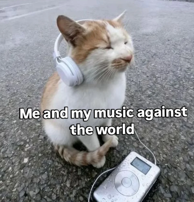 Me and my music against the world