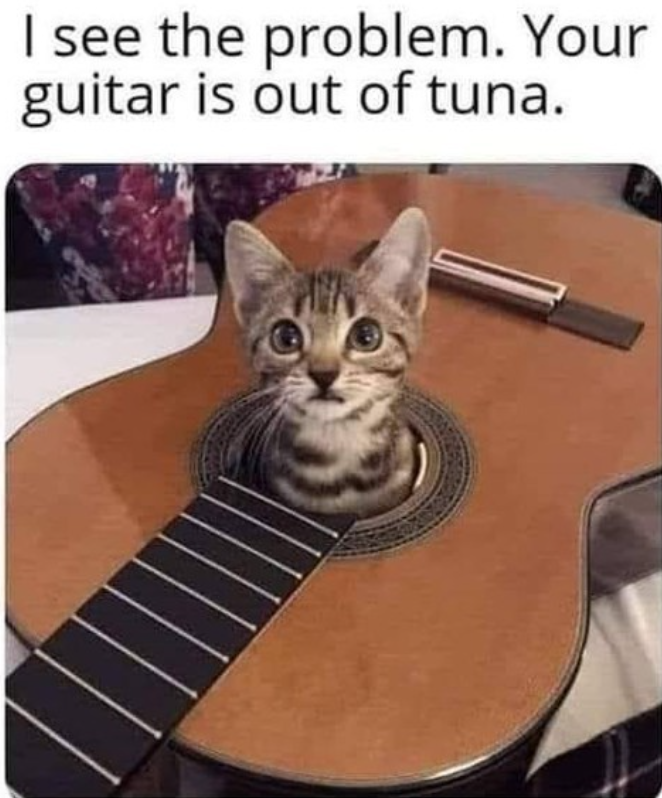 I see the problem. Your guitar is out of tuna.