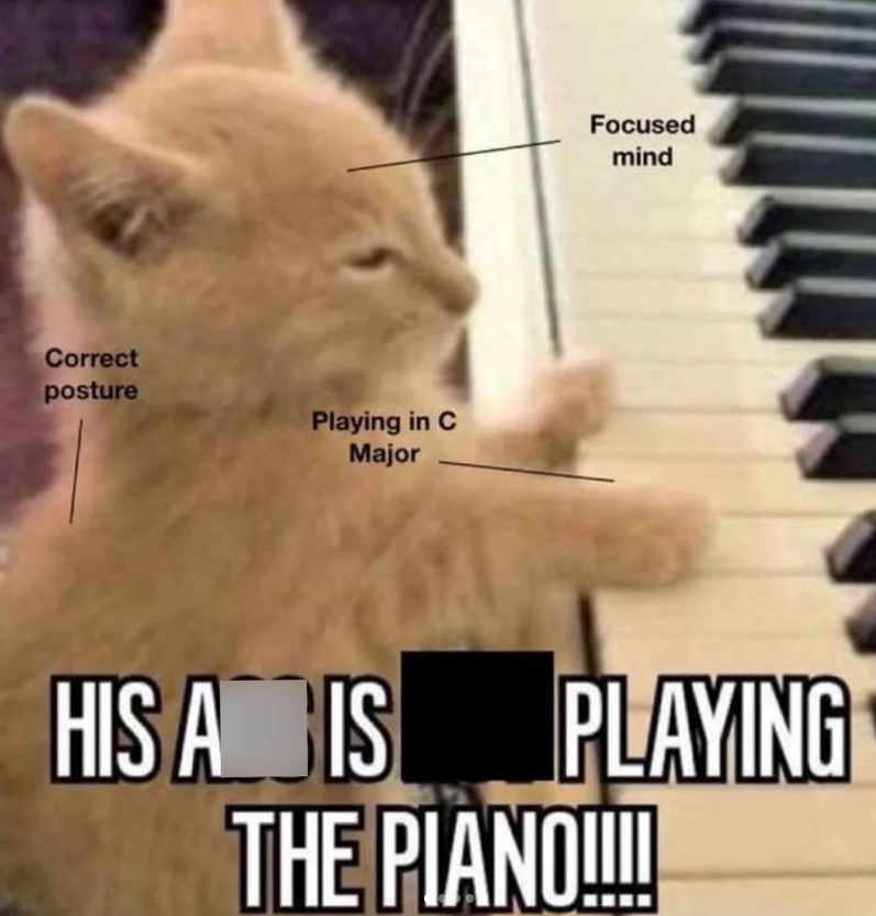 Correct posture Playing in C Major Focused mind HIS A IS PLAYING THE PIANO!!!!!