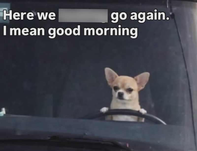 Here we go again. I mean good morning