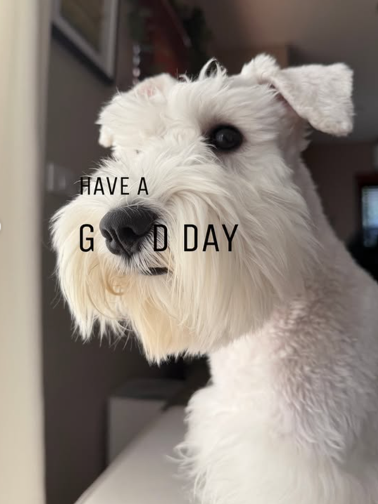 HAVE A GD DAY