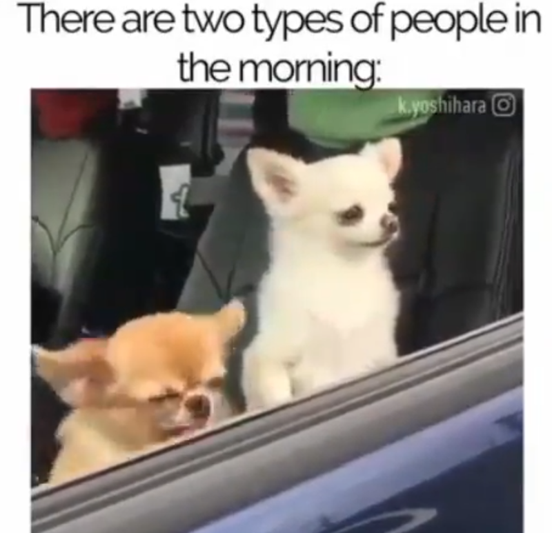 There are two types of people in the morning: k.yoshihara O
