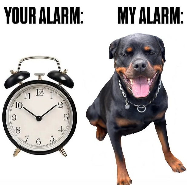 YOUR ALARM: MY ALARM: 2 5 19 10 8 765 h