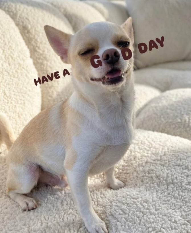 HAVE A GOOD DAY