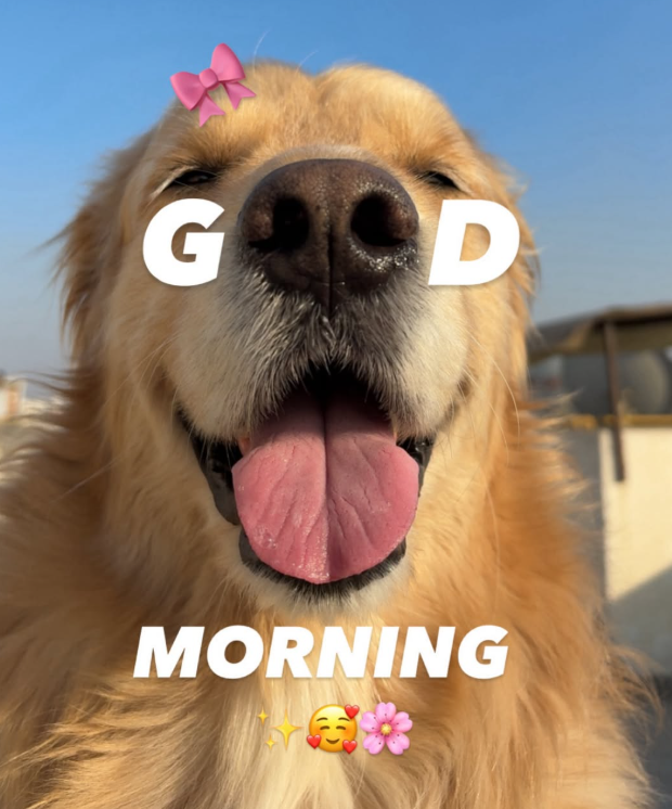 GOOD MORNING