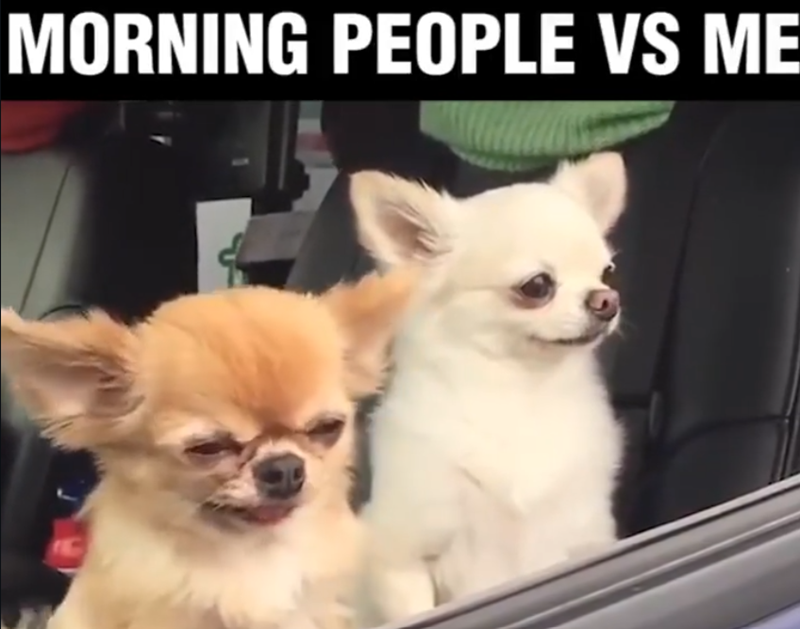 MORNING PEOPLE VS ME