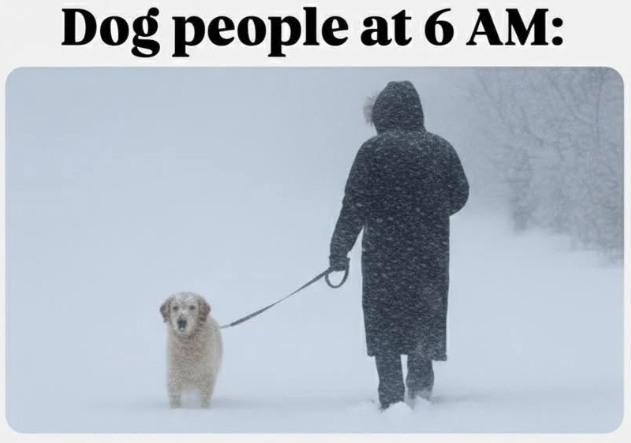 Dog people at 6 AM:
