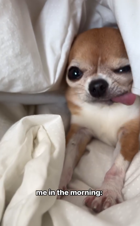 me in the morning: