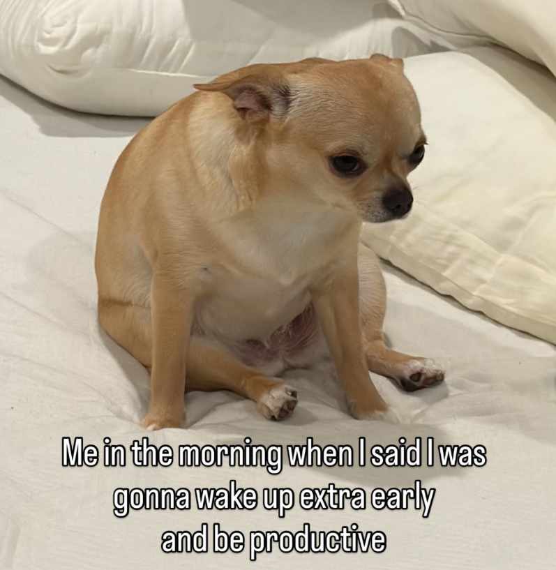 Me in the morning when I said I was gonna wake up extra early and be productive