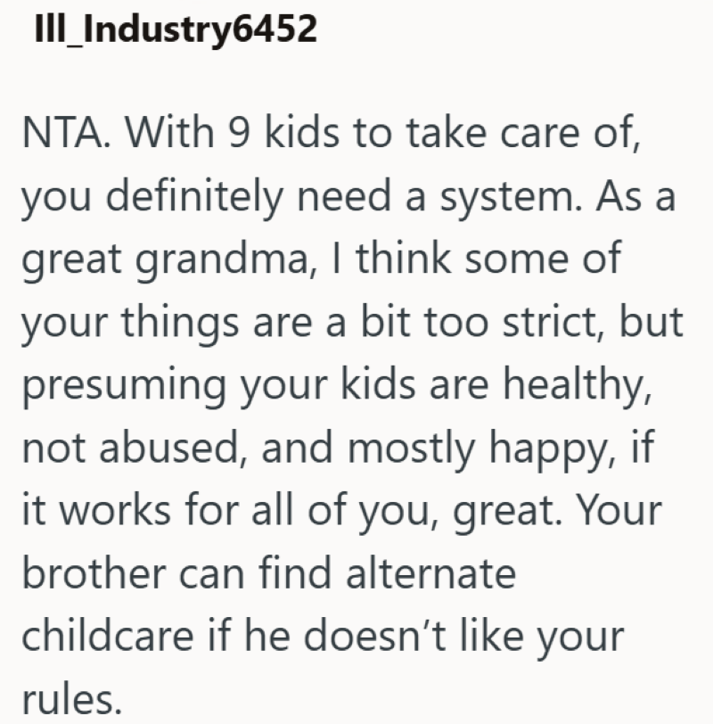 III_Industry6452 NTA. With 9 kids to take care of, you definitely need a system. As a great grandma, I think some of your things are a bit too strict, but presuming your kids are healthy, not abused, and mostly happy, if it works for all of you, great. Your brother can find alternate childcare if he doesn't like your rules.