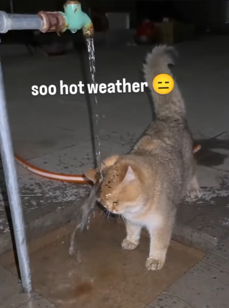 soo hot weather