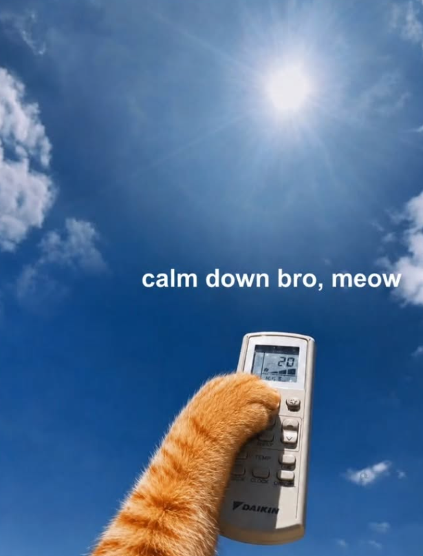 calm down bro, meow TEMP CLOCK 20 DAIKIN