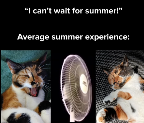 "I can't wait for summer!" Average summer experience: