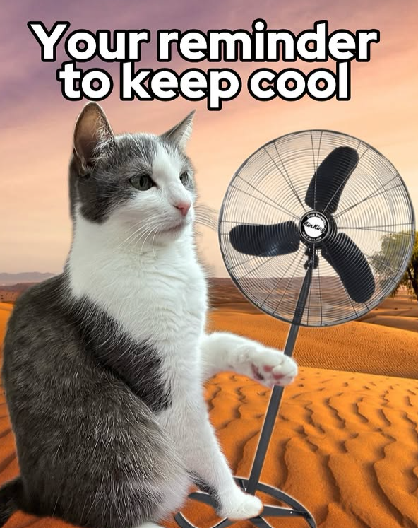 Your reminder to keep cool