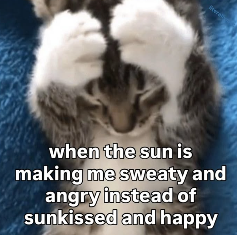 literallyme when the sun is making me sweaty and angry instead of sunkissed and happy