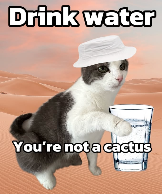 Drink water You're not a cactus
