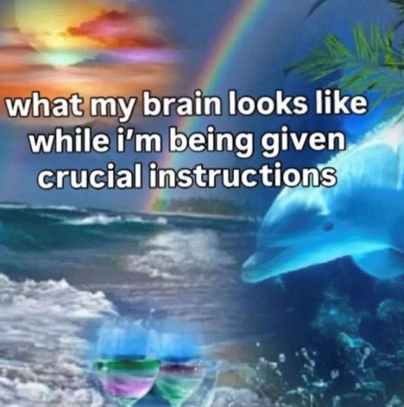 what my brain looks like while i'm being given crucial instructions