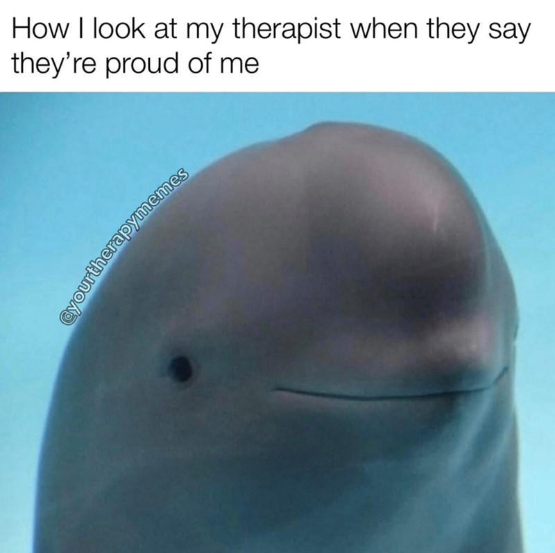 How I look at my therapist when they say they're proud of me Durtherapymemes