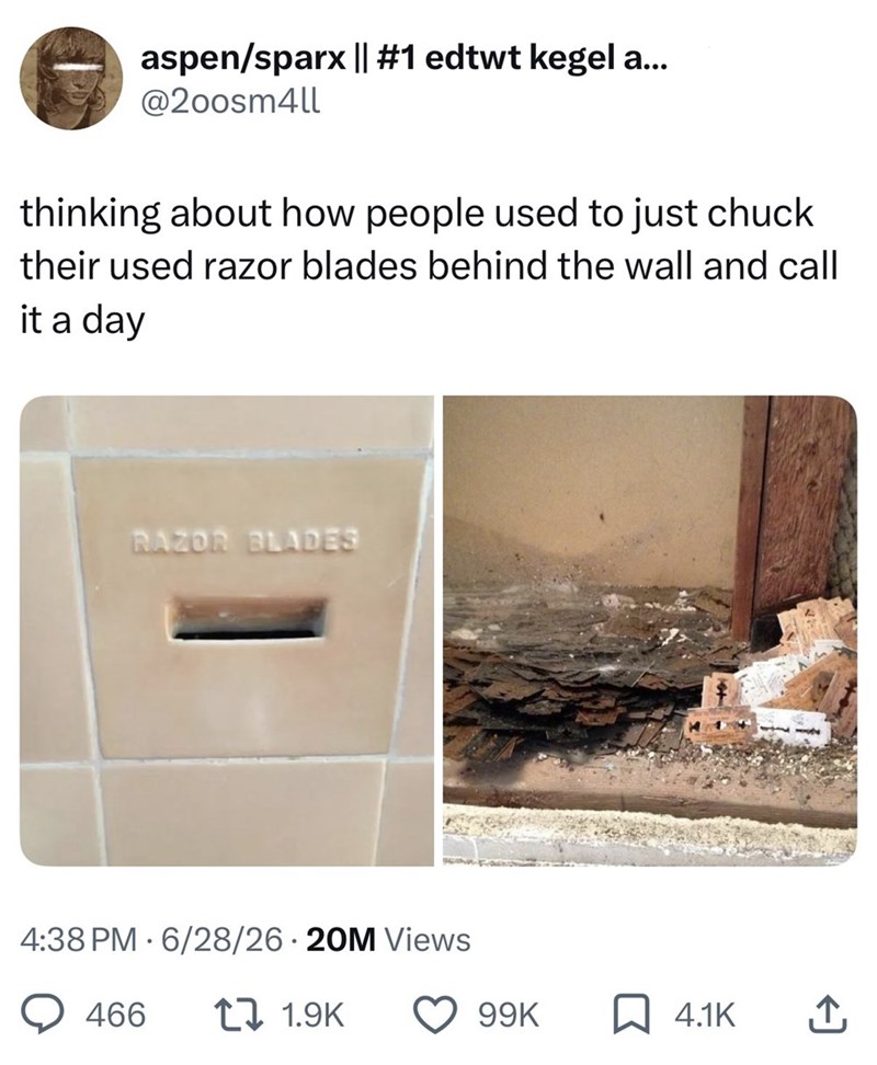 aspen/sparx || #1 edtwt kegel a... @200sm4ll thinking about how people used to just chuck their used razor blades behind the wall and call it a day RAZOR BLADES 4:38 PM 6/28/26 20M Views 466 1 1.9K 99K ☐ 4.1K ↑