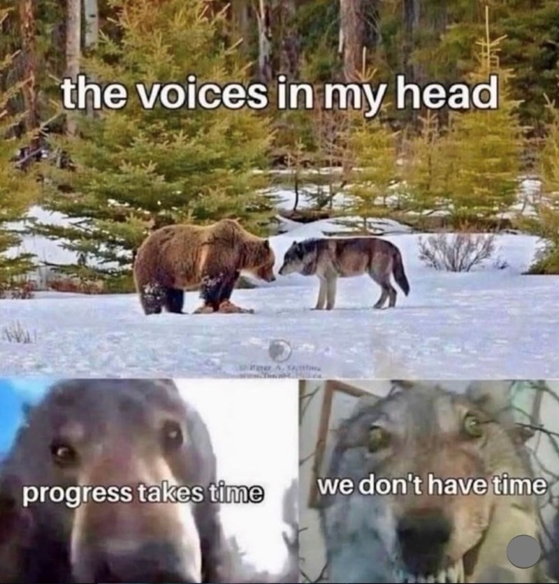 the voices in my head per A, St progress takes time we don't have time