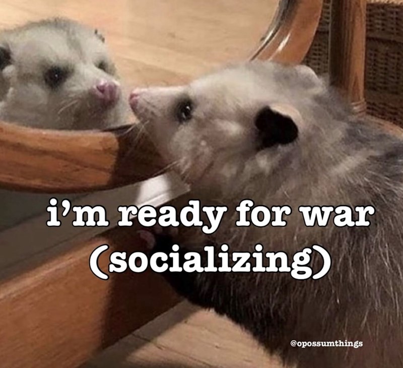 i'm ready for war (socializing) @opossumthings