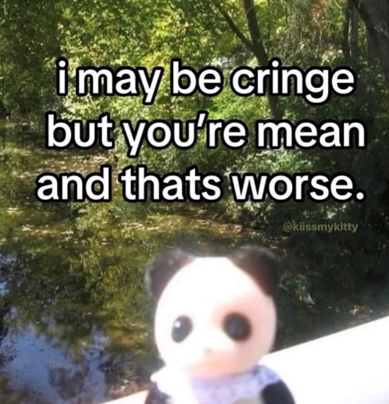 i'may be cringe but you're mean and thats worse. @kiissmykitty