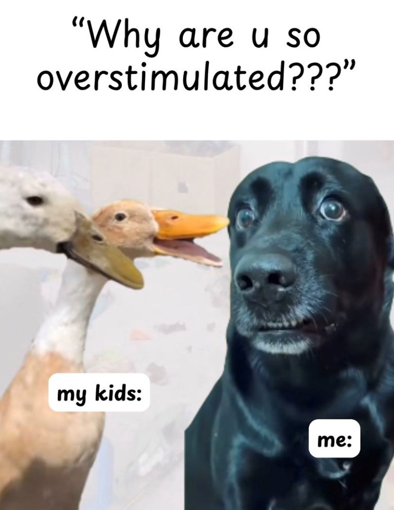 "Why are u so overstimulated???" my kids: me: