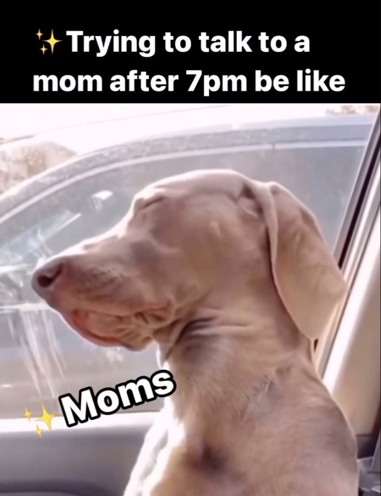 +Trying to talk to a mom after 7pm be like Moms