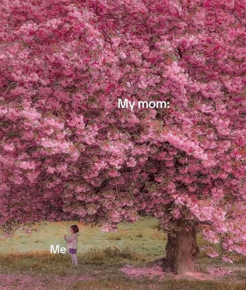 Me My mom: