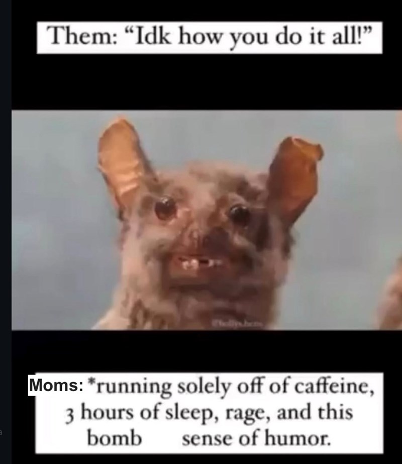 Them: "Idk how you do it all!" Mollyshers Moms: *running solely off of caffeine, 3 hours of sleep, rage, and this bomb sense of humor.