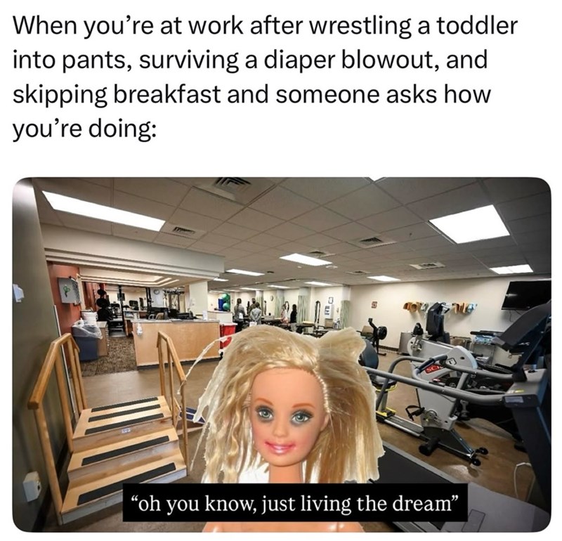 When you're at work after wrestling a toddler into pants, surviving a diaper blowout, and skipping breakfast and someone asks how you're doing: ISC "oh you know, just living the dream"