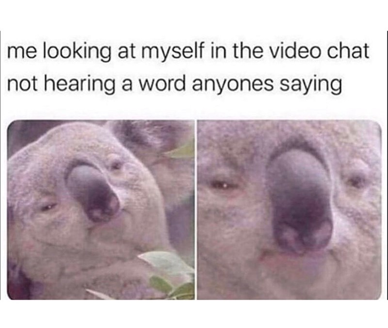 me looking at myself in the video chat not hearing a word anyones saying