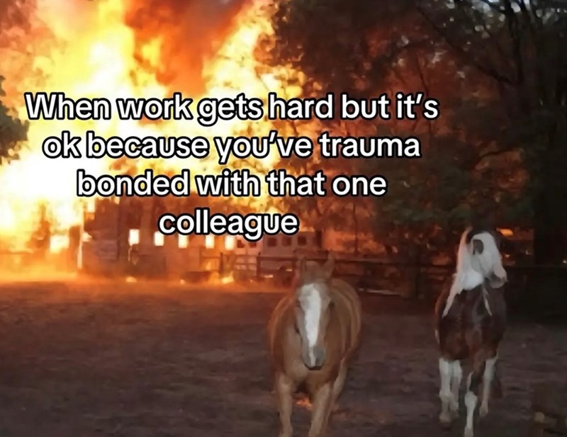 When work gets hard but it's ok because you've trauma bonded with that one colleague