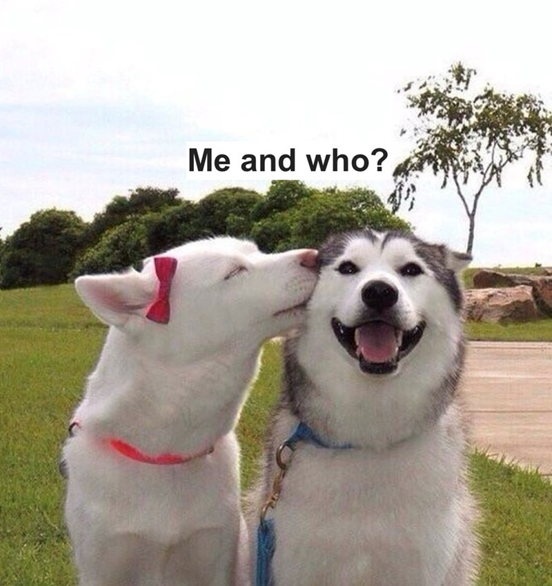 Me and who?